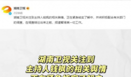 娱乐圈吃瓜的目录有哪些,揭秘明星幕后故事与八卦传闻